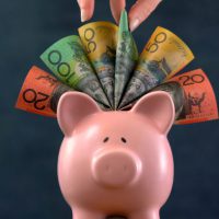 Pink Piggy bank money concept on dark blue background, stuffed with Australian cash, and female hand take one hundred dollar note.